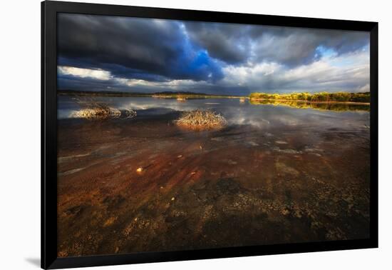 Saltwater Marsh Landscape, Cabo Rojo, Puerto Rico-George Oze-Framed Photographic Print