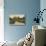 Saltwell Park House, Gateshead-null-Mounted Photographic Print displayed on a wall