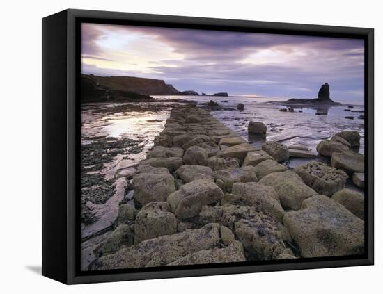 Saltwick Bay Is South of Whitby and the Distinctively Shaped Black Nab Rock-LatitudeStock-Framed Stretched Canvas