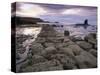 Saltwick Bay Is South of Whitby and the Distinctively Shaped Black Nab Rock-LatitudeStock-Stretched Canvas