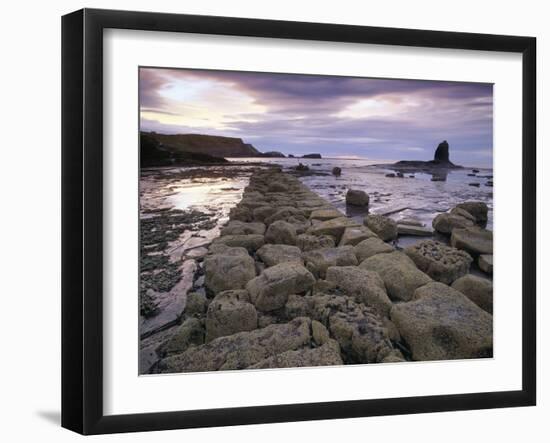 Saltwick Bay Is South of Whitby and the Distinctively Shaped Black Nab Rock-LatitudeStock-Framed Photographic Print