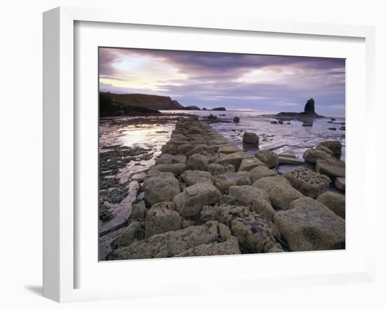 Saltwick Bay Is South of Whitby and the Distinctively Shaped Black Nab Rock-LatitudeStock-Framed Photographic Print