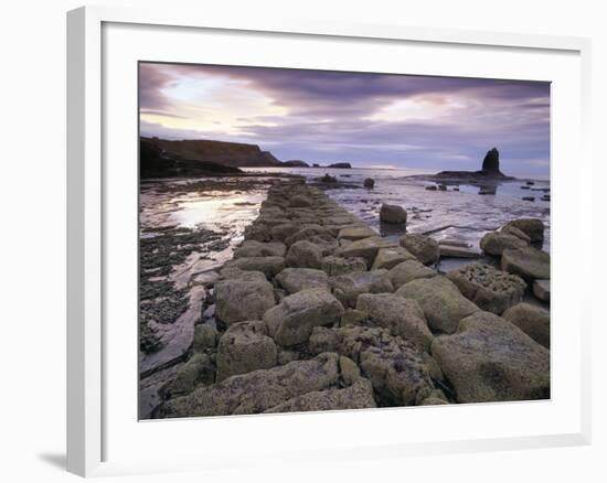 Saltwick Bay Is South of Whitby and the Distinctively Shaped Black Nab Rock-LatitudeStock-Framed Photographic Print