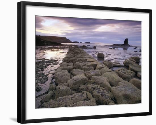 Saltwick Bay Is South of Whitby and the Distinctively Shaped Black Nab Rock-LatitudeStock-Framed Photographic Print