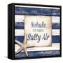 Salty Air Border-Elizabeth Medley-Framed Stretched Canvas