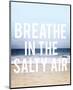 Salty Air-Leah Flores-Mounted Art Print