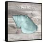 Salty Kisses Aqua Shell-Diane Stimson-Framed Stretched Canvas