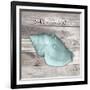 Salty Kisses Aqua Shell-Diane Stimson-Framed Art Print