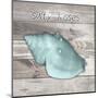 Salty Kisses Aqua Shell-Diane Stimson-Mounted Art Print