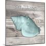 Salty Kisses Aqua Shell-Diane Stimson-Mounted Art Print