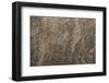 Salty Pattern-Eunika-Framed Photographic Print