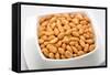 Salty Peanuts-highviews-Framed Stretched Canvas