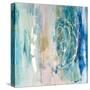 Salty Sea II-Joyce Combs-Stretched Canvas