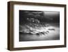 SALTY TASTE-Paolo Lazzarotti-Framed Photographic Print