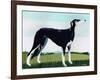 Saluki Cross, 1991-Maggie Rowe-Framed Giclee Print