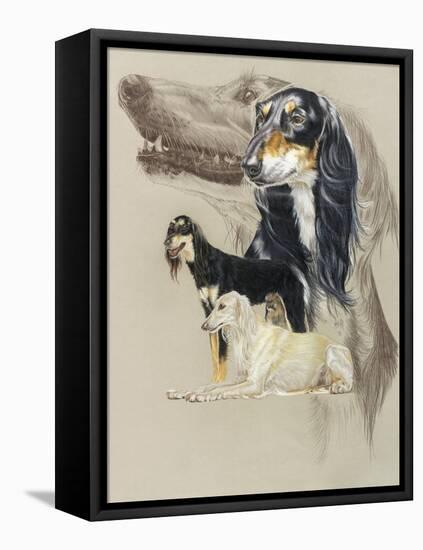 Saluki-Barbara Keith-Framed Stretched Canvas