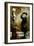 Saluting the Admiral-Albert William Holden-Framed Giclee Print