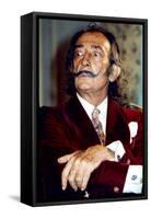 Salvador Dali-null-Framed Stretched Canvas