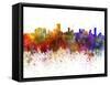 Salvador De Bahia Skyline in Watercolor Background-paulrommer-Framed Stretched Canvas