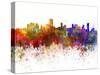 Salvador De Bahia Skyline in Watercolor Background-paulrommer-Stretched Canvas