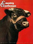 "Black Bull," Country Gentleman Cover, February 1, 1944-Salvadore Pinto-Laminated Giclee Print