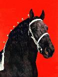 "Black Bull," Country Gentleman Cover, February 1, 1944-Salvadore Pinto-Stretched Canvas