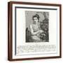 Brown Frame