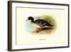 Salvadori's Duck-Henrick Gronvold-Framed Art Print