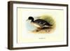 Salvadori's Duck-Henrick Gronvold-Framed Premium Giclee Print