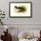 Salvadori's Duck-Henrick Gronvold-Framed Art Print displayed on a wall