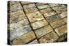 Salvaged Bricks-Chris Henderson-Stretched Canvas