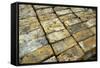 Salvaged Bricks-Chris Henderson-Framed Stretched Canvas