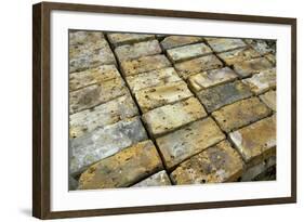 Salvaged Bricks-Chris Henderson-Framed Photographic Print