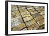 Salvaged Bricks-Chris Henderson-Framed Photographic Print