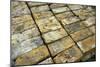 Salvaged Bricks-Chris Henderson-Mounted Photographic Print