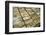 Salvaged Bricks-Chris Henderson-Framed Photographic Print