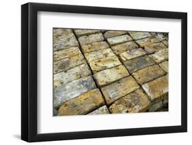 Salvaged Bricks-Chris Henderson-Framed Photographic Print
