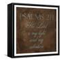 Salvation Brown-Jace Grey-Framed Stretched Canvas