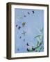 Salvation-Rebecca Campbell-Framed Giclee Print