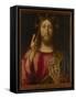 Salvator Mundi, 1519-Andrea Previtali-Framed Stretched Canvas