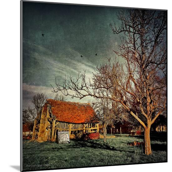 Photographic Print, , large