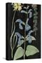 Salvia Florals II on Black-Wild Apple Portfolio-Stretched Canvas