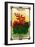 Salvia Seed Packet-Lantern Press-Framed Art Print