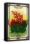 Salvia Seed Packet-Lantern Press-Framed Stretched Canvas