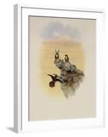 Salvin's Coquette, Lophornis Adorabilis-John Gould-Framed Giclee Print