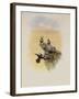 Salvin's Coquette, Lophornis Adorabilis-John Gould-Framed Giclee Print