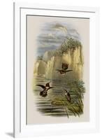 Salvin's Flame-Bearer, Selasphorus Ardens-John Gould-Framed Giclee Print