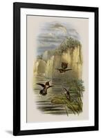 Salvin's Flame-Bearer, Selasphorus Ardens-John Gould-Framed Giclee Print