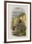 Salvin's Flame-Bearer, Selasphorus Ardens-John Gould-Framed Giclee Print