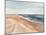 Salvo Beach II-Annie Warren-Mounted Art Print